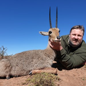 Grey Rhebok Hunt Eastern Cape South Africa