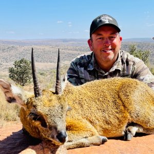 Klipspringer Hunt South Africa