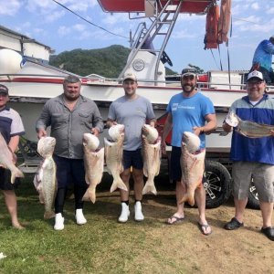 Steebra & Kabeljou (Kob) Fishing South Africa