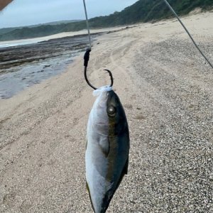 Fishing South Africa