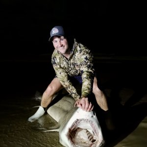 Ragged Tooth Shark Fishing South Africa