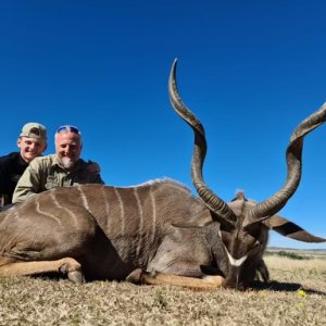 Kudu Hunting South Africa