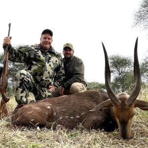 Hunting Bushbuck