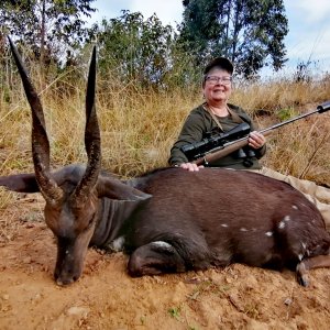 Bushbuck Hunting Eastern Cape South Africa