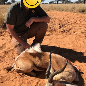 Springbok Hunt Kalahari South Africa