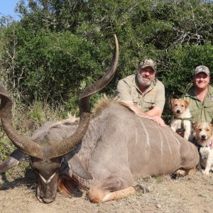 Kudu Hunt Eastern Cape SOuth Africa