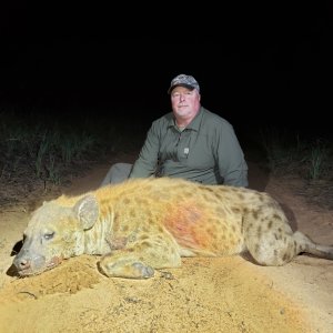 Spotted Hyena Hunt Zimbabwe