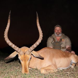 Impala Hunt South Africa