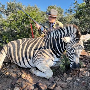 Zebra Hunting