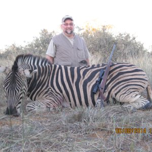 Zebra Hunting Limpopo South Africa