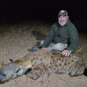 Spotted Hyena Hunt South Africa