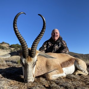 Springbok Hunt South Africa