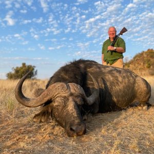 Buffalo Hunt South Africa