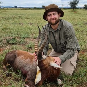 Blesbok Hunt South Africa