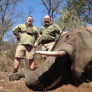 Elephant Hunt Zimbabwe