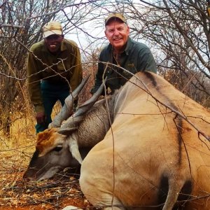 Eland Hunt Namibia