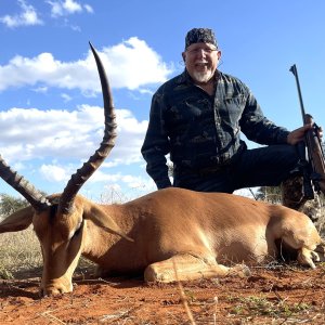 Impala Hunt South Africa