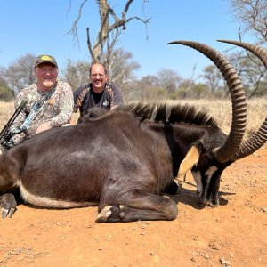 Sable Bow Hunt South Africa