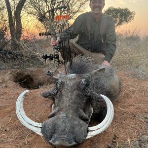 Warthog Bow Hunt South Africa