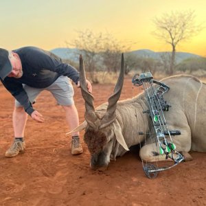 Eland Bow Hunt South Africa