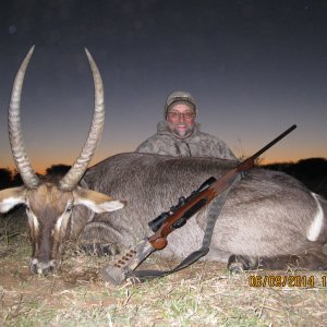 Waterbuck Hunting South Africa