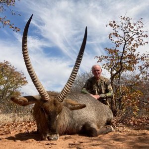 Waterbuck Hunt Bushveld South Africa