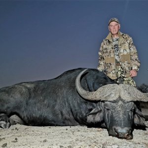 Buffalo Hunt Bushveld South Africa