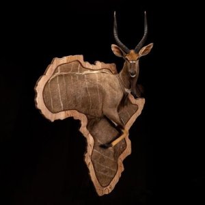 Nyala 3D Africa Wall Pedestal Mount Taxidermy