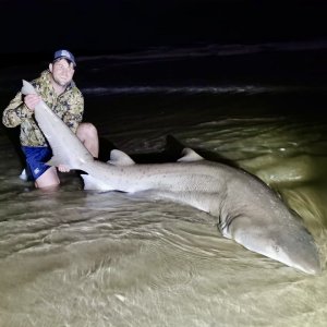 Shark Fishing South Africa