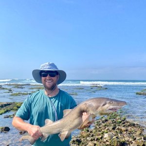 Shark Fishing South Africa