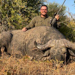 Buffalo Hunting Tanzania