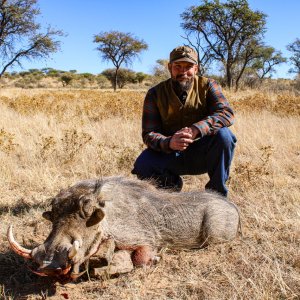 Warthog Hunting Namibia