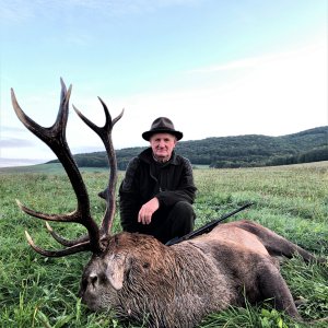 Red Deer Hunting Romania