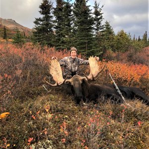 55 Inch Moose Hunt Alaska