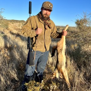 Jackal Hunting Namibia