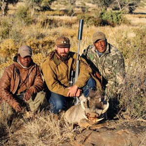 Warthog Hunting Namibia