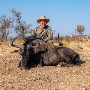 Blue Wildebeest Hunting Namibia