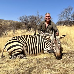 Zebra Hunting Namibia