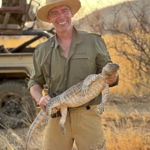 Monitor Lizard Namibia