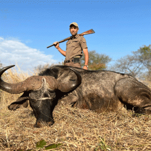 Buffalo Hunt Zimbabwe