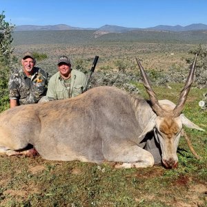 Eland Hunt Eastern Cape South Africa