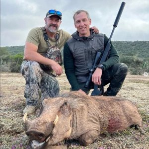 Warthog Hunt Eastern Cape South Africa