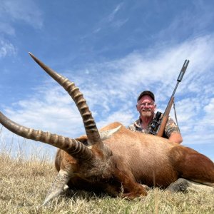 Blesbok Bow Hunt South Africa