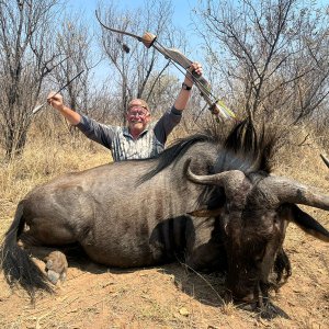 Blue Wildebeest Bow Hunt South Africa