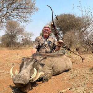 Warthog Bow Hunt South Africa