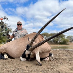 Gemsbok Bowhunting South Africa