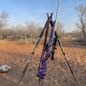 Purple Haze Tikka 6.5 x 55 W/ Rifle