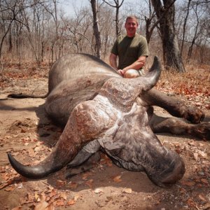 Buffalo Hunting Mozambique