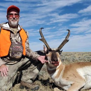 Pronghorn Hunting Wyoming