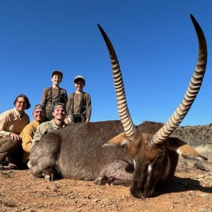 Waterbuck Hunt South Africa